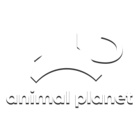Логотип канала Animal Planet HD