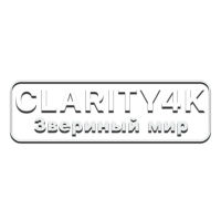 Логотип канала Clarity4K Звериный мир