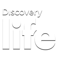 Логотип канала Discovery Life HD [PL]