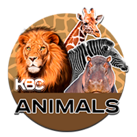 Логотип канала KBC-Animals