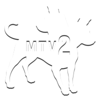 Логотип канала MTV 2 [US]