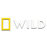 Логотип канала National Geographic Wild HD [PL]