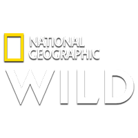 Логотип канала Nat Geo Wild HD