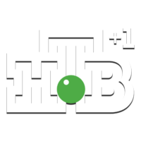 Логотип канала НТВ HD (+1)