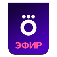 Логотип канала Okko.Чемпионат