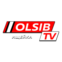 Логотип канала Olsib Ищейка FHD
