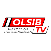 Логотип канала Olsib Pirates of the Caribbean FHD