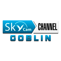 Логотип канала SkyCam Goblin