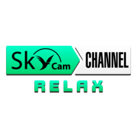 Логотип канала SkyCam Relax