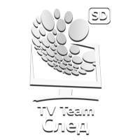 Логотип канала TEAM След