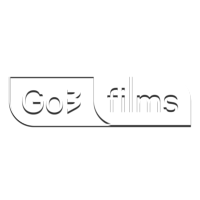 Логотип канала TV3 Film HD