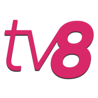 Логотип канала TV8 Moldova