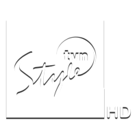 Логотип канала TVN Style HD