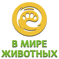 Логотип канала В мире животных HD
