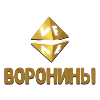 Логотип канала VF Воронины